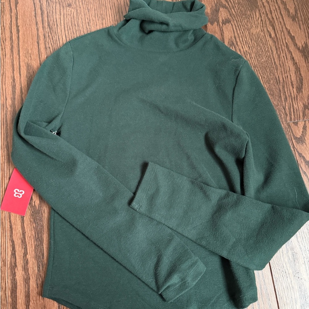 Aritzia green turtleneck